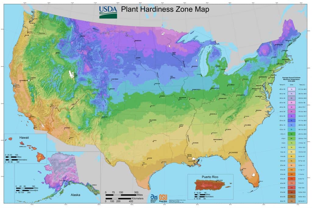 All States Planting Zones