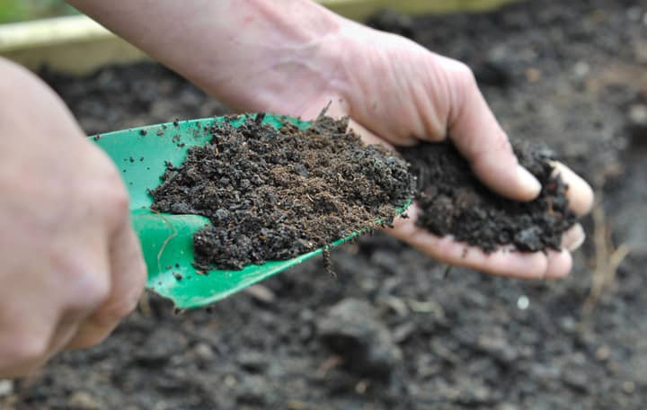 Checking the soil before planting