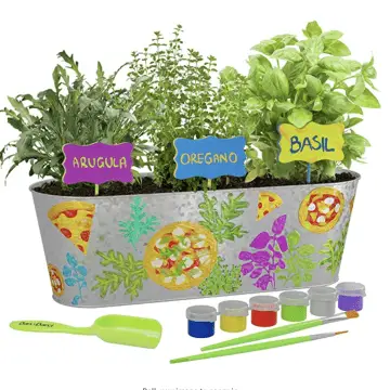 Dan and Darci Paint and Plant Pizza Herb Growing Kit