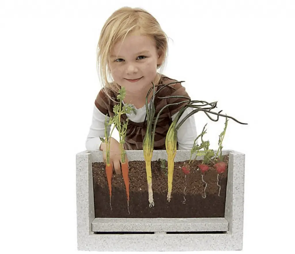 Root View Farm Gardening Kit for Kids