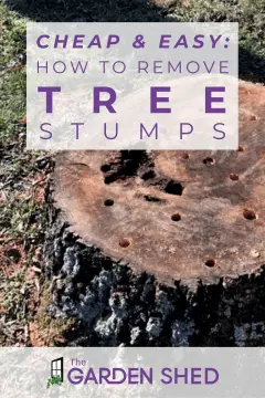 cheap and easy ways how to remove tree stumps without having to hire someone