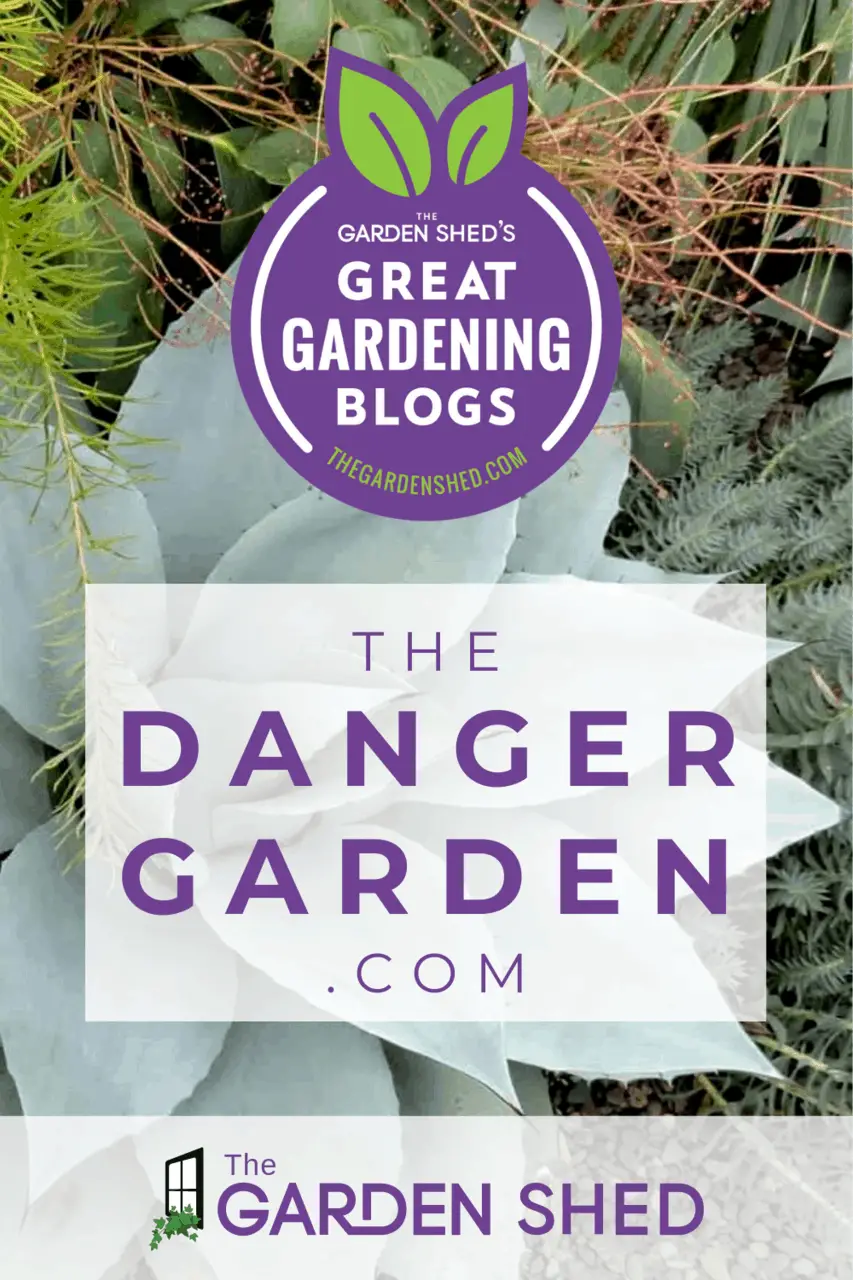 Great Gardening Blogs: thedangergarden.com