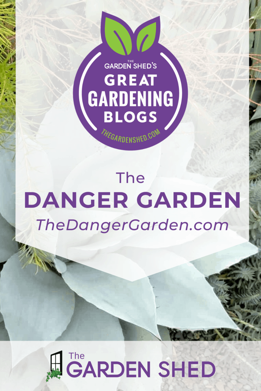 Great Gardening Blogs: thedangergarden.com