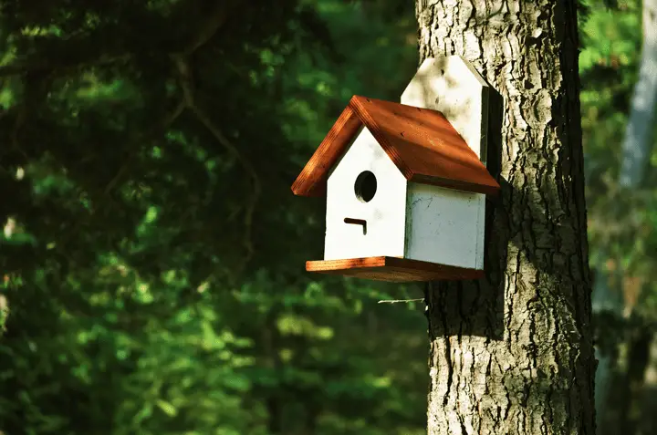 Birdhouse