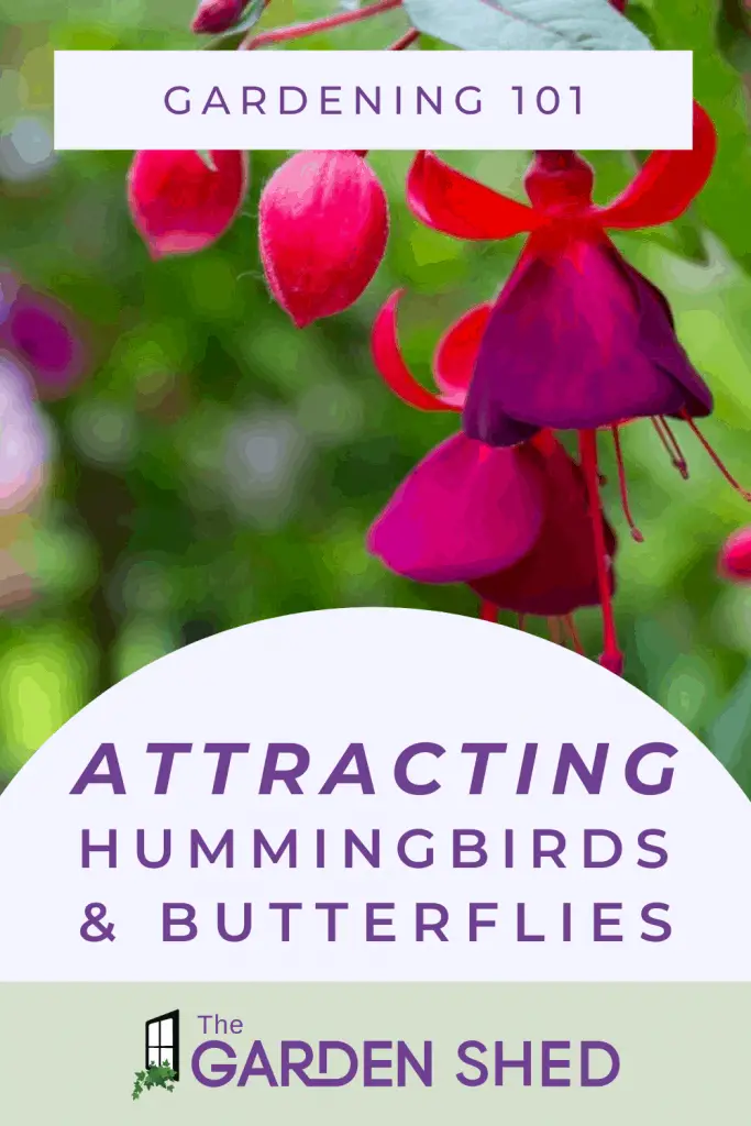 If you're wanting to learn more about attracting hummingbirds and butterflies, read here for helpful tips and tricks! Click to get started.