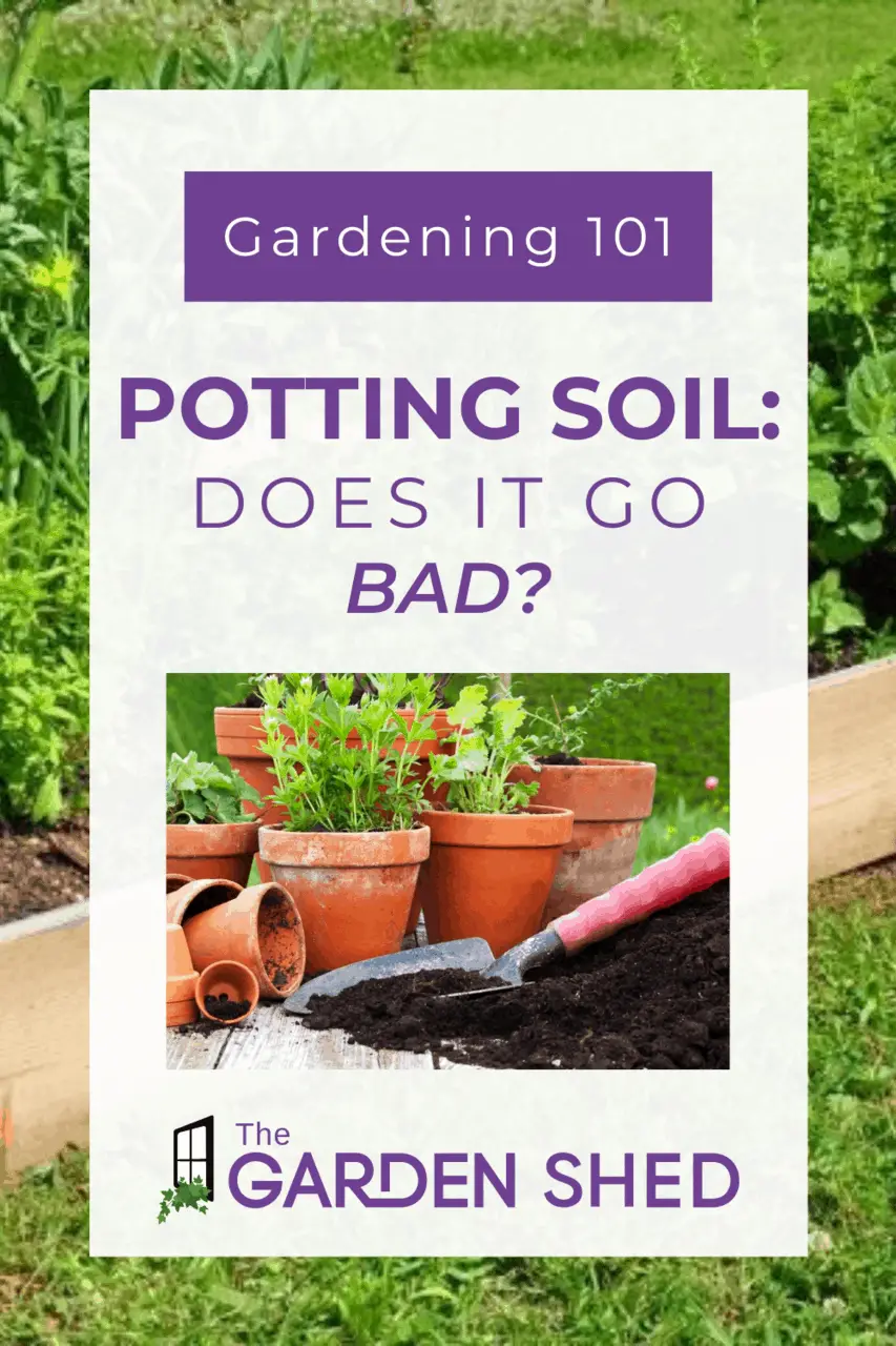 Does Potting Soil Go Bad?