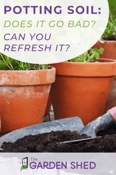 does potting soil go bad? Can you refresh it and reuse it?