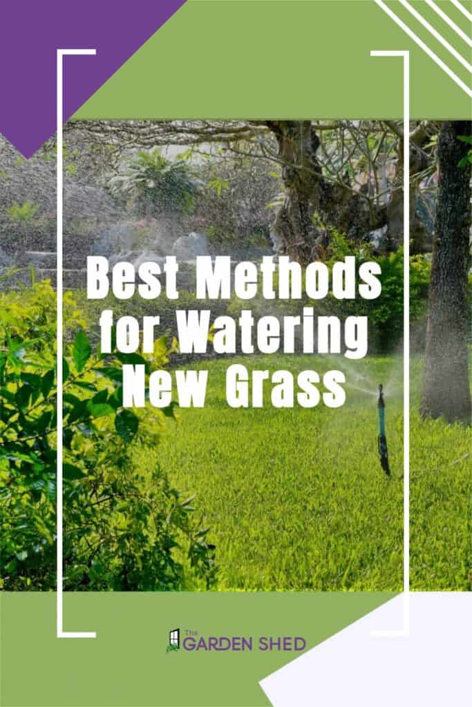 Best Methods for Watering New Grass