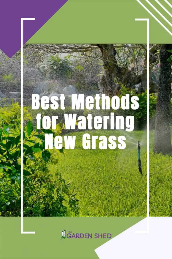 Best Methods for Watering New Grass