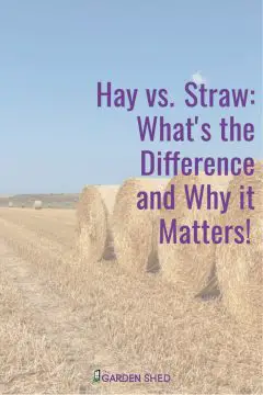 Hay vs Straw - What is the difference