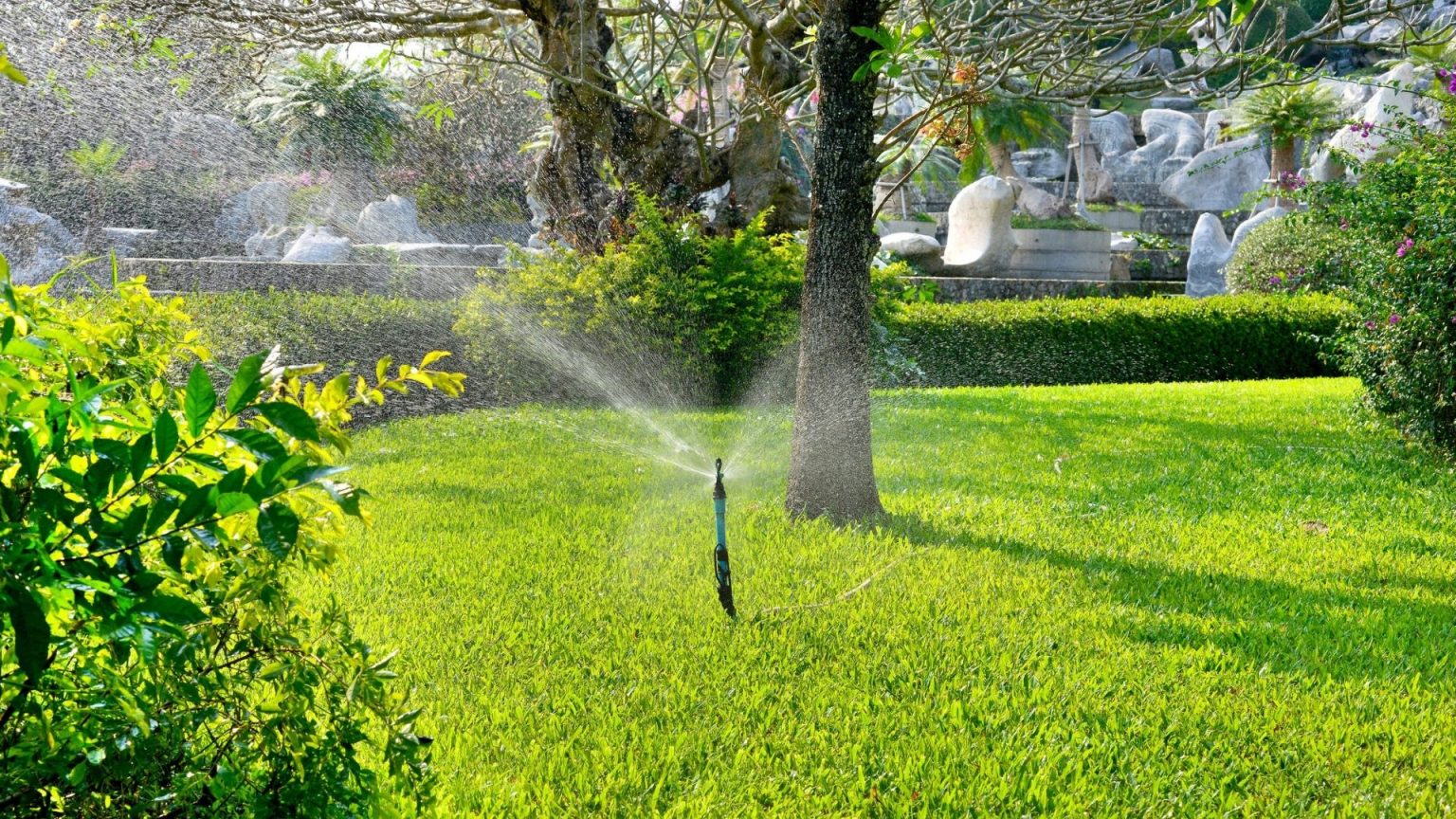 Best Methods for Watering New Grass The Garden Shed