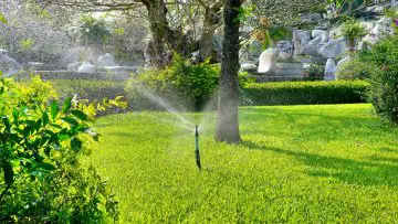 Photo of sprinkler on a lawn to show best methods of watering grass