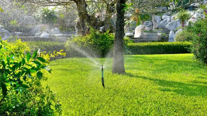 Photo of sprinkler on a lawn to show best methods of watering grass