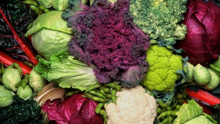 Complete Guide to Brassicas article image