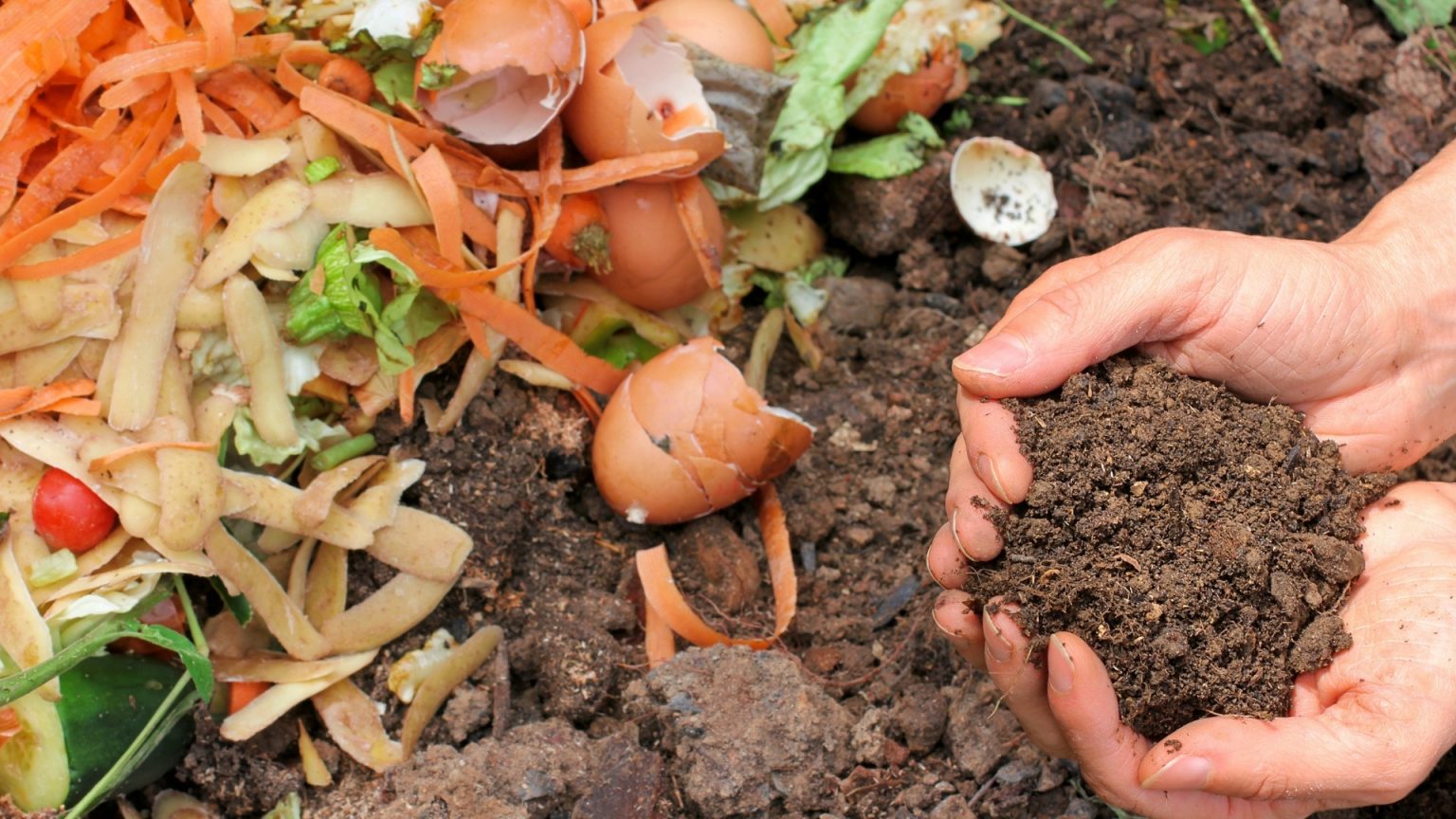 How to Apply Compost By Hand (The Easy Way) The Garden Shed