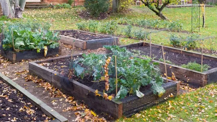 Fall Planting Guide article image