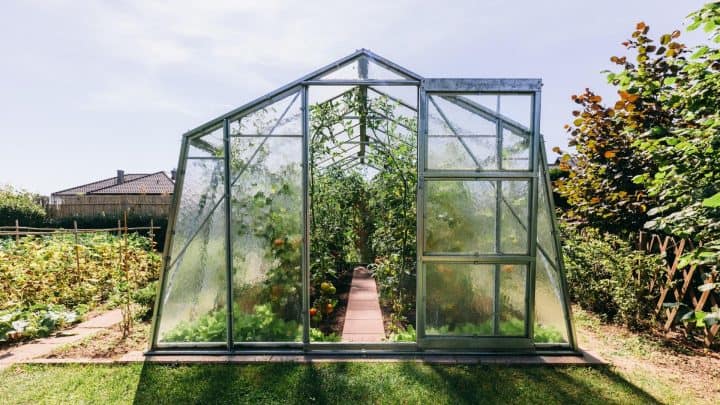 How to Grow Food in Your Backyard Greenhouse blog article photo