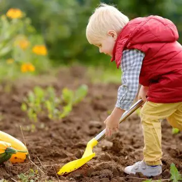 Seeds to Start With Kids