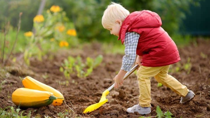 Seeds to Start With Kids