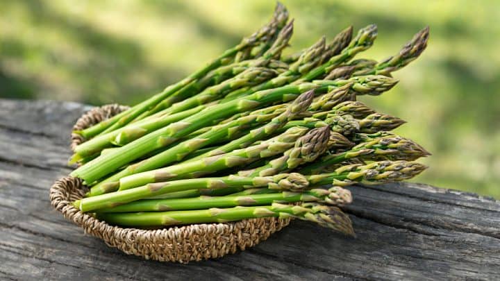 Photo of asparagus for companion plants article