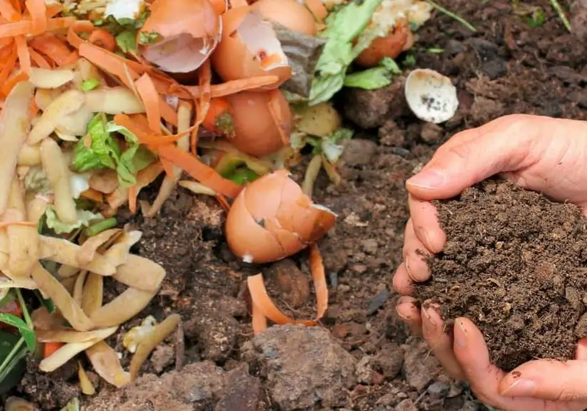 How to Apply Compost By Hand article image