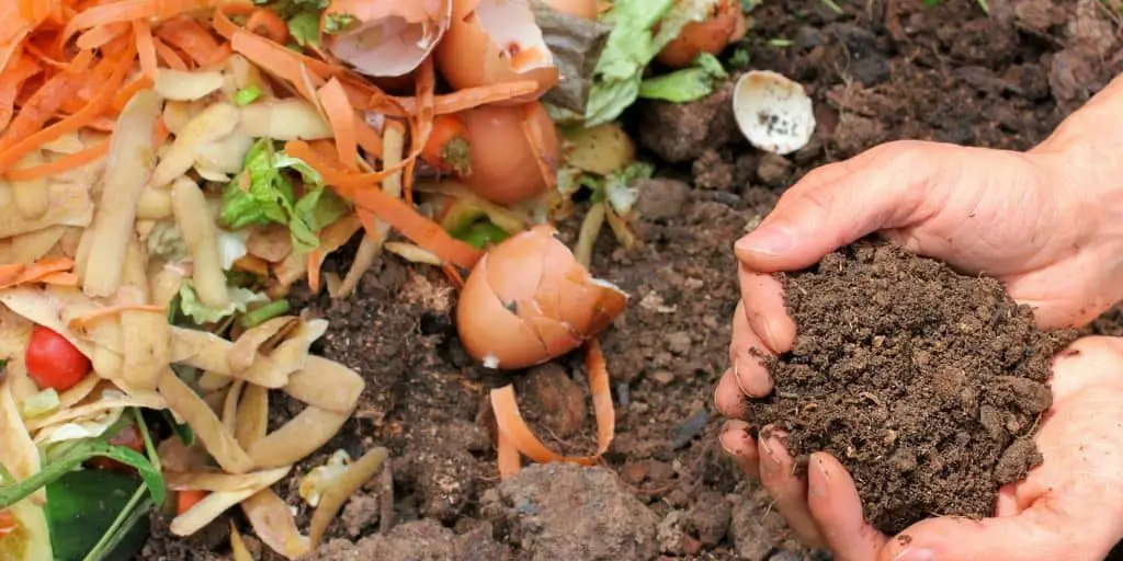 How to Apply Compost By Hand article image