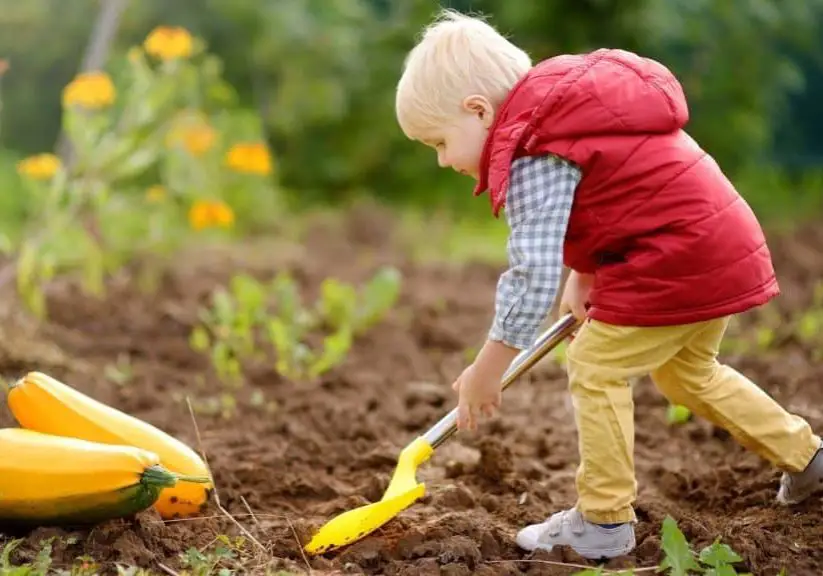 Seeds to Start With Kids