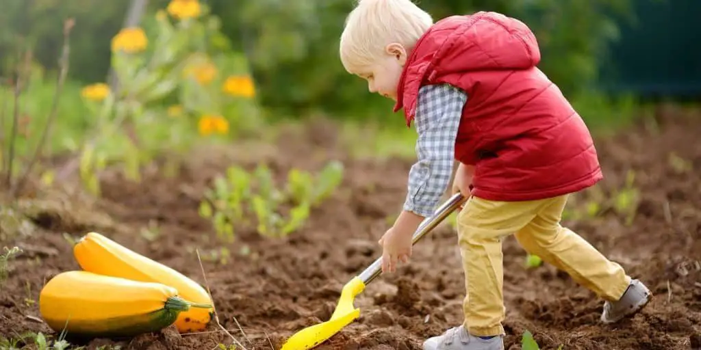 Seeds to Start With Kids