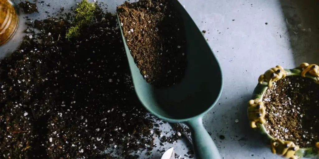 Potting Soil vs. Garden Soil Article photo