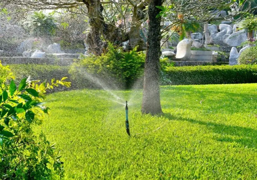 Photo of sprinkler on a lawn to show best methods of watering grass