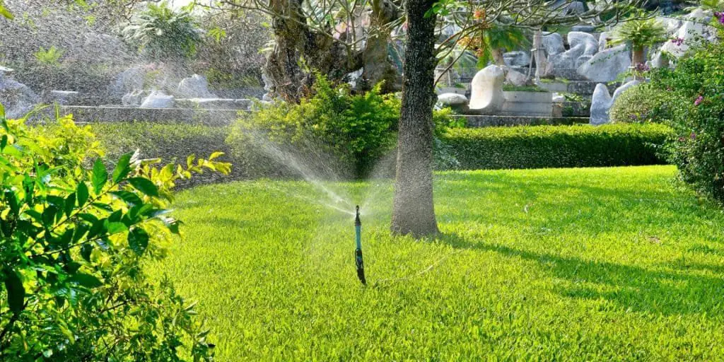 Photo of sprinkler on a lawn to show best methods of watering grass