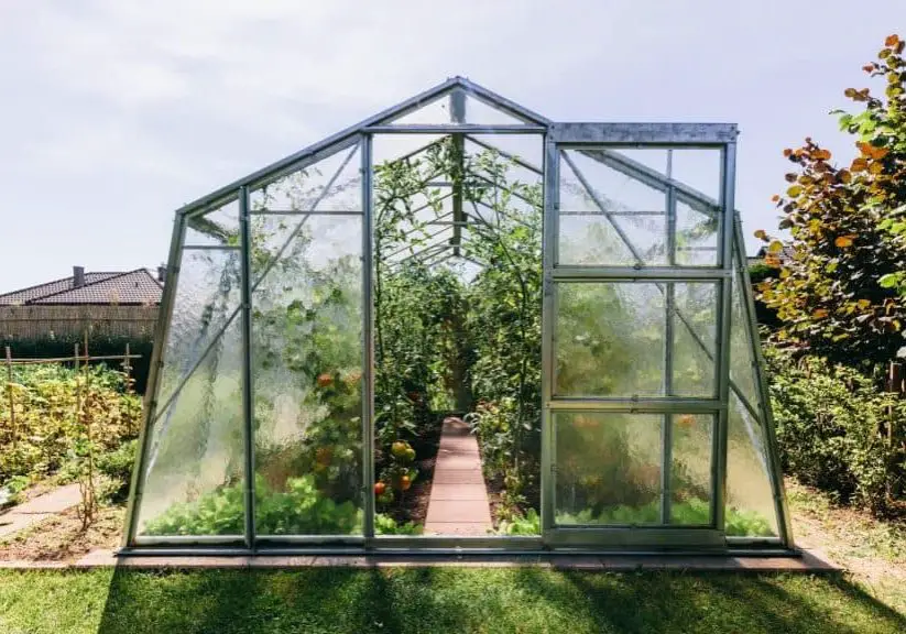 How to Grow Food in Your Backyard Greenhouse blog article photo