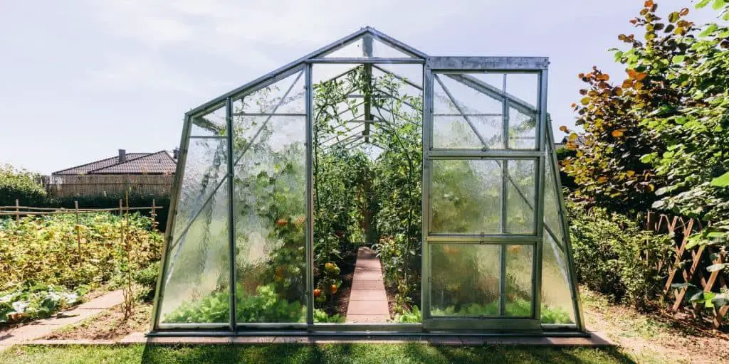 How to Grow Food in Your Backyard Greenhouse blog article photo