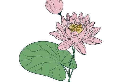 Printable water lily birthday card