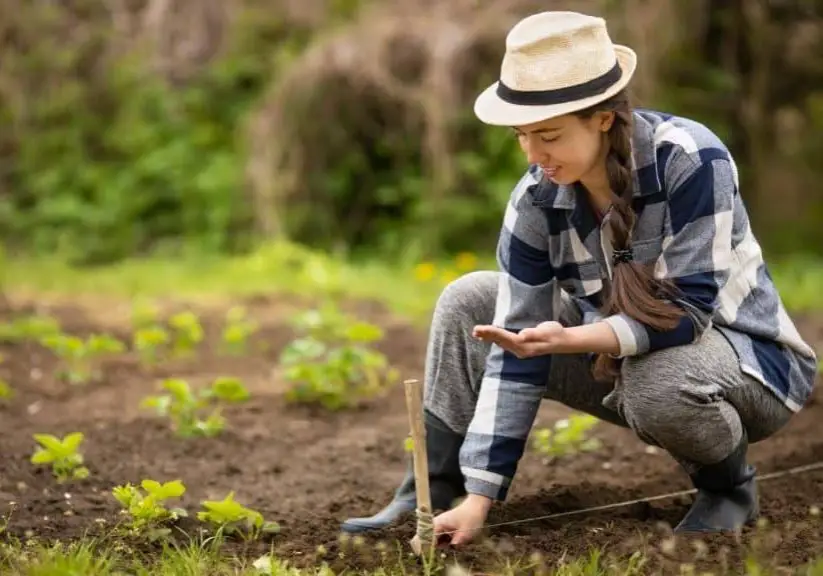 What to Seed Outside in Early Spring blog article image