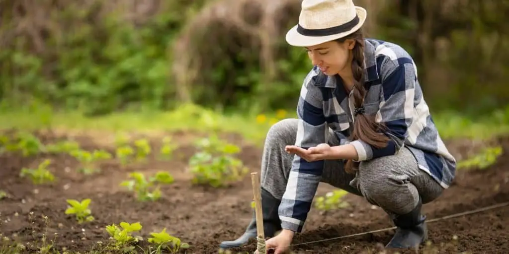 What to Seed Outside in Early Spring blog article image